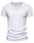 F037-V-white
