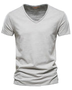 F037-V-SilverGray