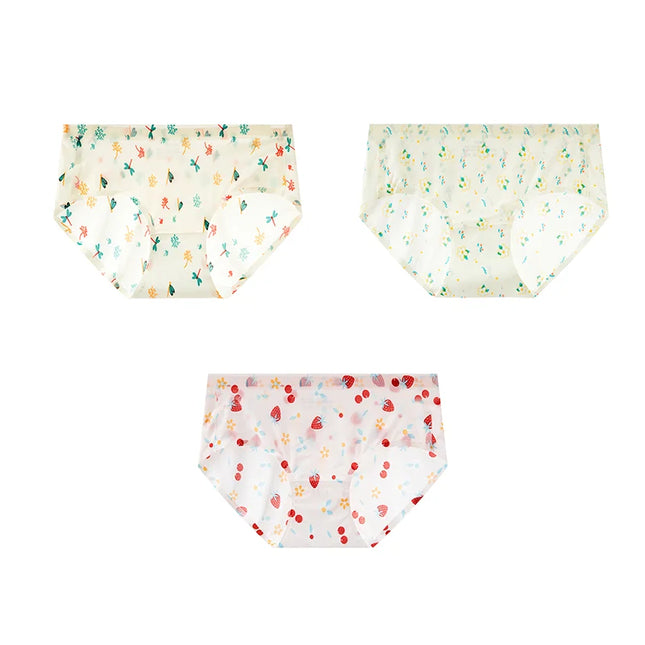 3Pcs/Set Printed Mesh Underwear Underpants - VOLDRI