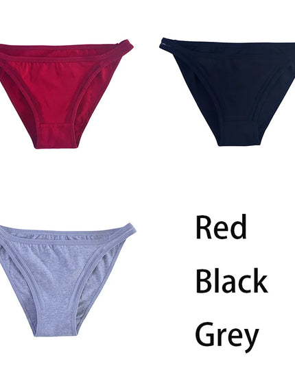 3Pcs/set  Mesh Underpants  Bikini  Underwear - VOLDRI