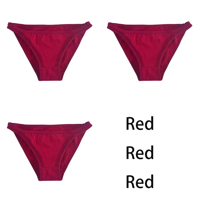 3Pcs/set  Mesh Underpants  Bikini  Underwear - VOLDRI