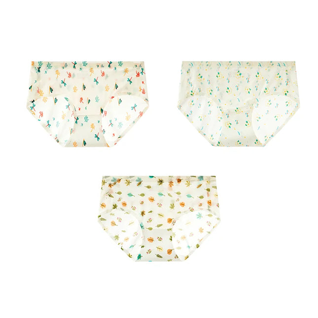 3Pcs/Set Printed Mesh Underwear Underpants - VOLDRI