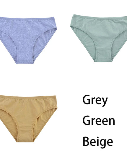 3PCS/Set  Classic Seamless Briefs Panties - VOLDRI