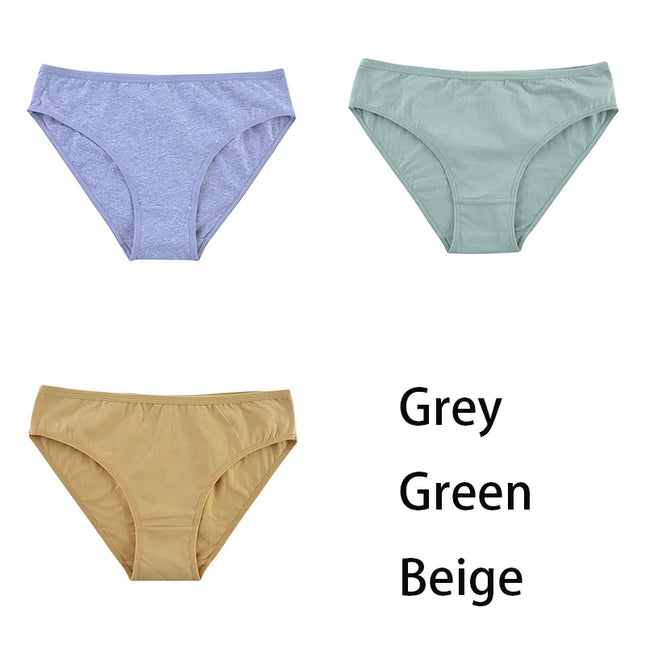 3PCS/Set  Classic Seamless Briefs Panties - VOLDRI