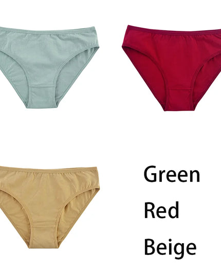 3PCS/Set  Classic Seamless Briefs Panties - VOLDRI