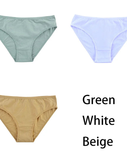 3PCS/Set  Classic Seamless Briefs Panties - VOLDRI