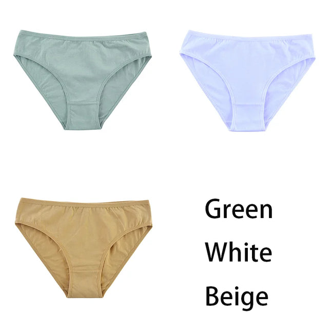 3PCS/Set  Classic Seamless Briefs Panties - VOLDRI