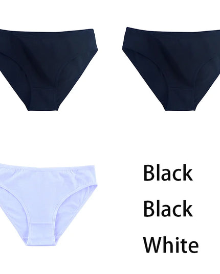 3PCS/Set  Classic Seamless Briefs Panties - VOLDRI