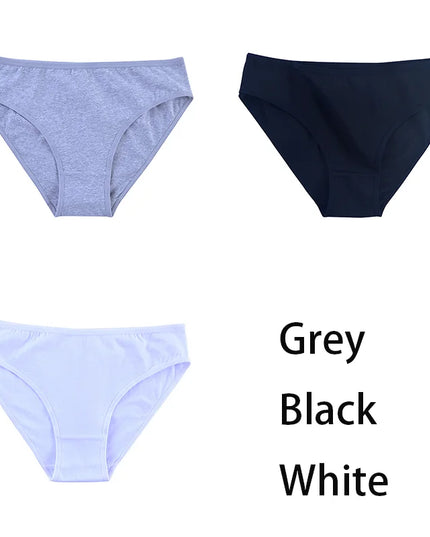 3PCS/Set  Classic Seamless Briefs Panties - VOLDRI