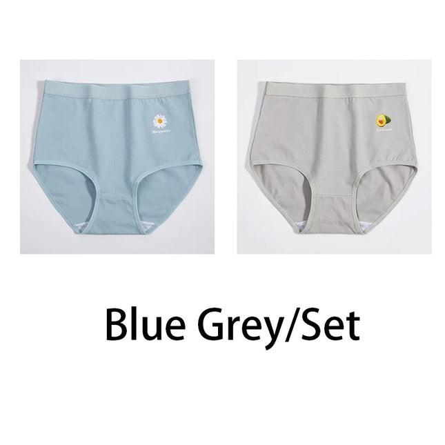 2Pcs/Set  Cotton Underwear Comfort Briefs - VOLDRI