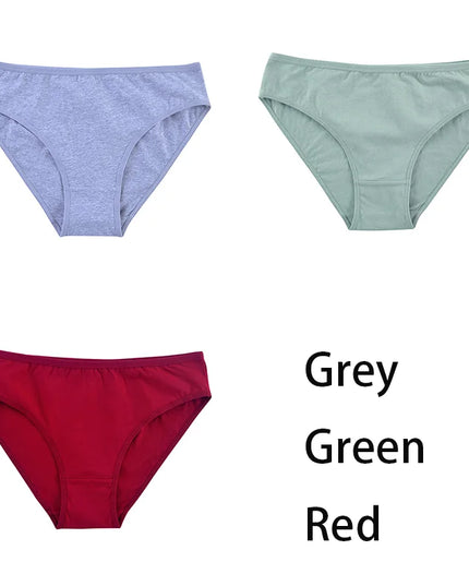 3PCS/Set  Classic Seamless Briefs Panties - VOLDRI