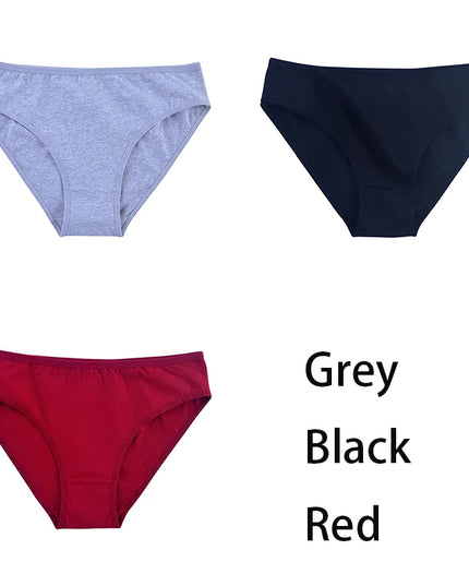 3PCS/Set  Classic Seamless Briefs Panties - VOLDRI