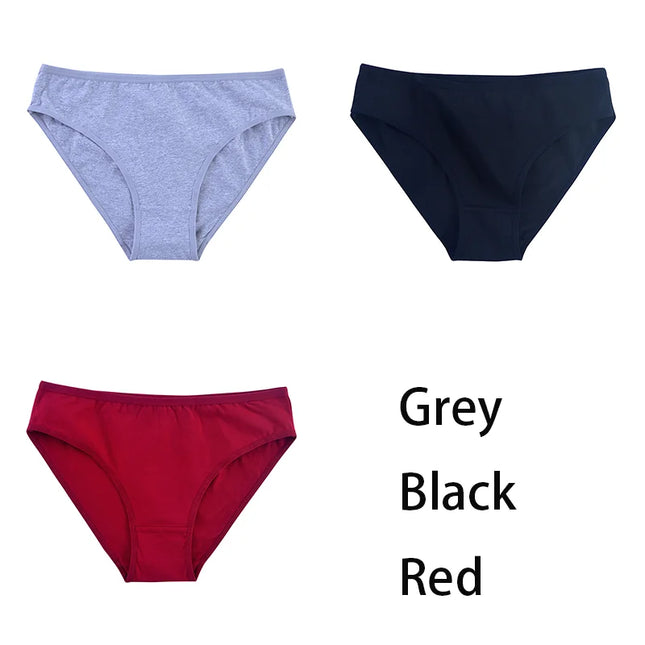 3PCS/Set  Classic Seamless Briefs Panties - VOLDRI