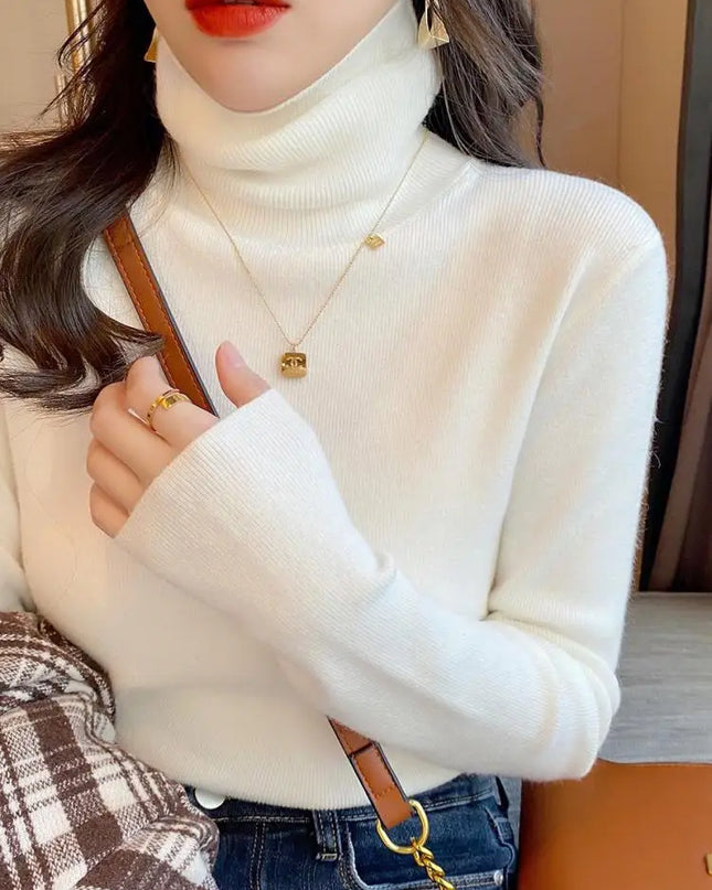 Basic Slim soft turtleneck Sweater - VOLDRI