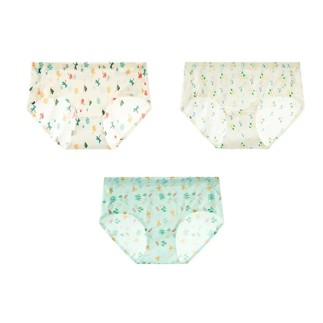 3Pcs/Set Printed Mesh Underwear Underpants - VOLDRI