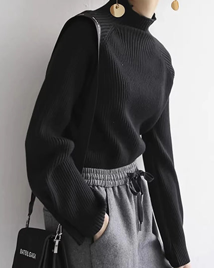 Turtleneck  Sweaters Loose Tops - VOLDRI