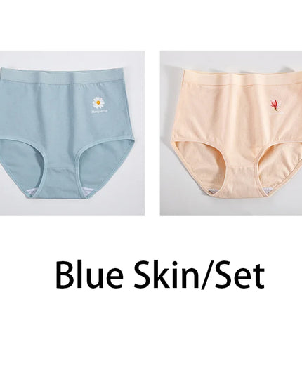 2Pcs/Set  Cotton Underwear Comfort Briefs - VOLDRI