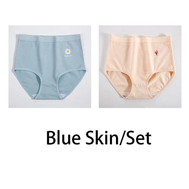 2Pcs/Set  Cotton Underwear Comfort Briefs - VOLDRI