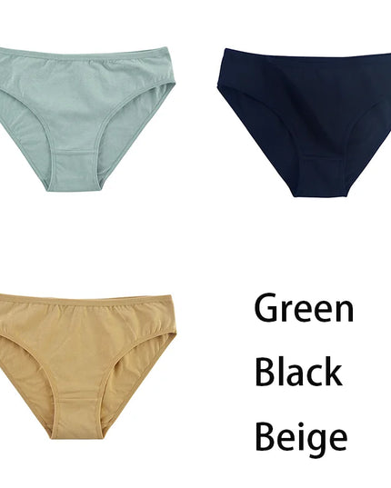 3PCS/Set  Classic Seamless Briefs Panties - VOLDRI