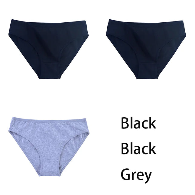 3PCS/Set  Classic Seamless Briefs Panties - VOLDRI