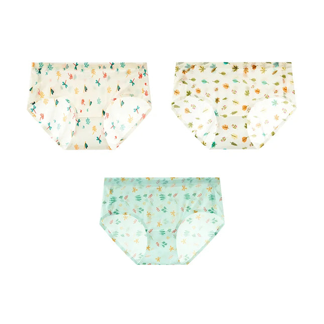 3Pcs/Set Printed Mesh Underwear Underpants - VOLDRI