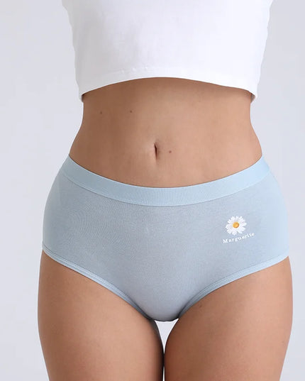 2Pcs/Set  Cotton Underwear Comfort Briefs - VOLDRI