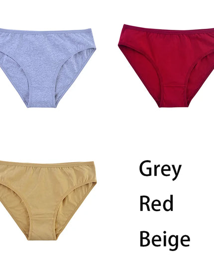 3PCS/Set  Classic Seamless Briefs Panties - VOLDRI