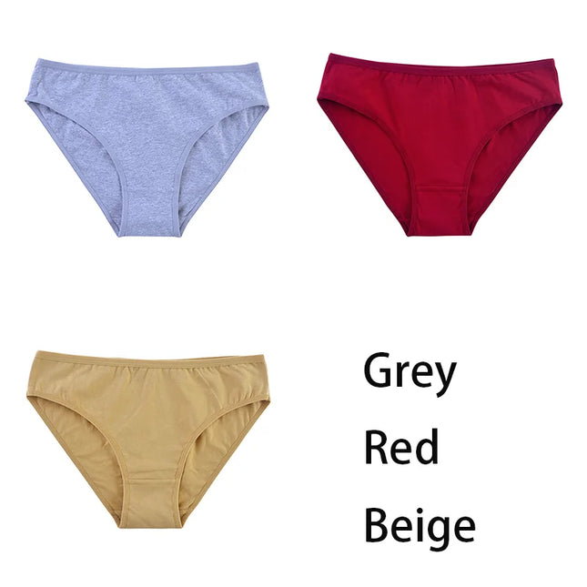 3PCS/Set  Classic Seamless Briefs Panties - VOLDRI