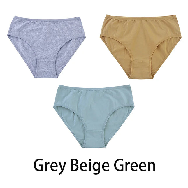 3PCS/Set Solid Color Briefs Underpants - VOLDRI