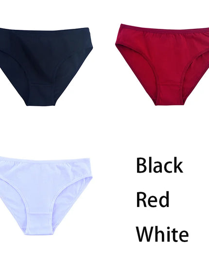 3PCS/Set  Classic Seamless Briefs Panties - VOLDRI