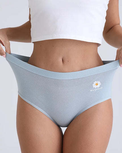 2Pcs/Set  Cotton Underwear Comfort Briefs - VOLDRI