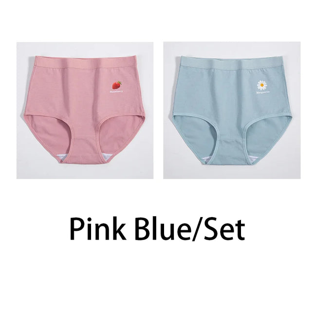 2Pcs/Set  Cotton Underwear Comfort Briefs - VOLDRI