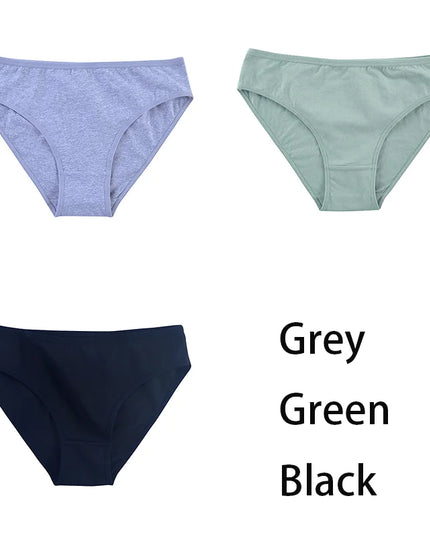 3PCS/Set  Classic Seamless Briefs Panties - VOLDRI