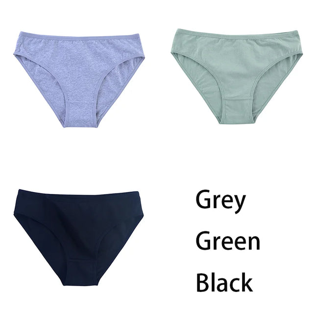 3PCS/Set  Classic Seamless Briefs Panties - VOLDRI