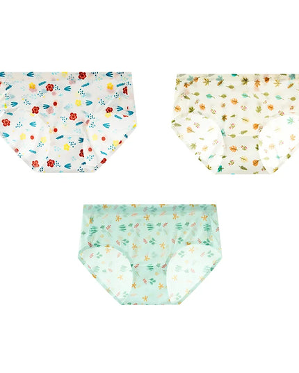 3Pcs/Set Printed Mesh Underwear Underpants - VOLDRI