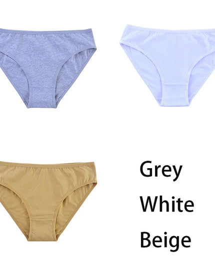 3PCS/Set  Classic Seamless Briefs Panties - VOLDRI