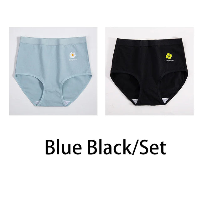 2Pcs/Set  Cotton Underwear Comfort Briefs - VOLDRI