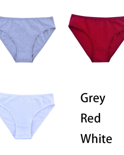 3PCS/Set  Classic Seamless Briefs Panties - VOLDRI