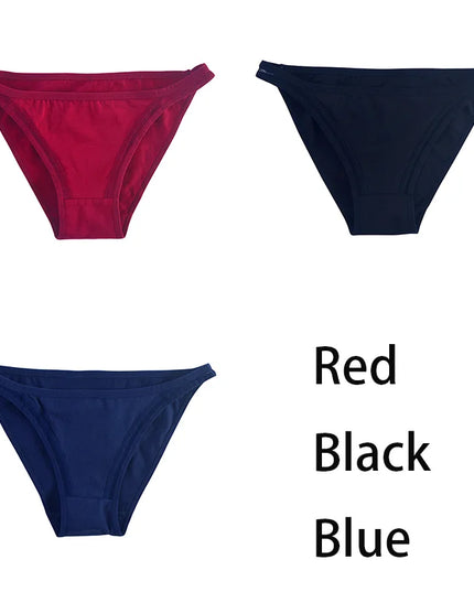 3Pcs/set  Mesh Underpants  Bikini  Underwear - VOLDRI