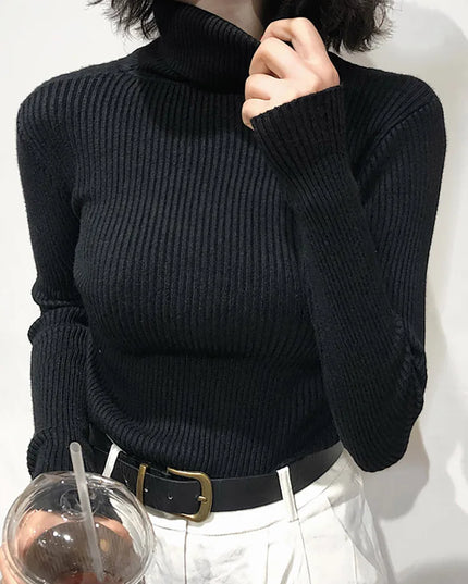 Turtleneck Knitted Sweater - VOLDRI