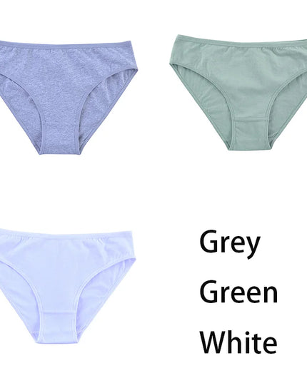 3PCS/Set  Classic Seamless Briefs Panties - VOLDRI