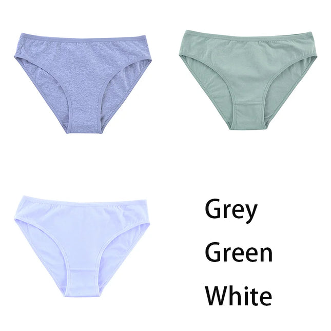 3PCS/Set  Classic Seamless Briefs Panties - VOLDRI