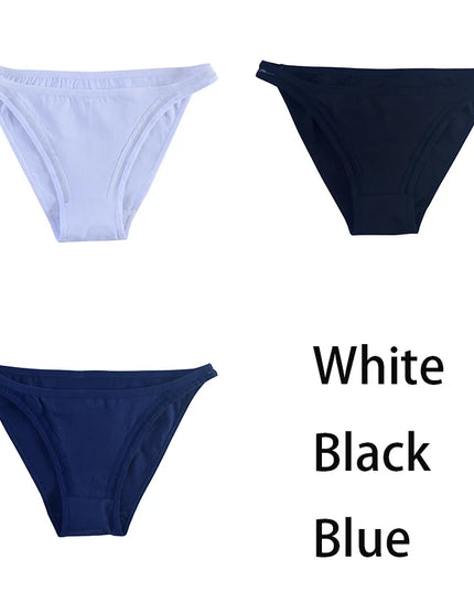 3Pcs/set  Mesh Underpants  Bikini  Underwear - VOLDRI