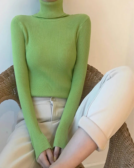 Thick Turtleneck  Ribbed Sweater - VOLDRI