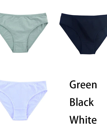 3PCS/Set  Classic Seamless Briefs Panties - VOLDRI