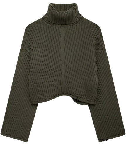 Casual Sweater Turtle Neck - VOLDRI