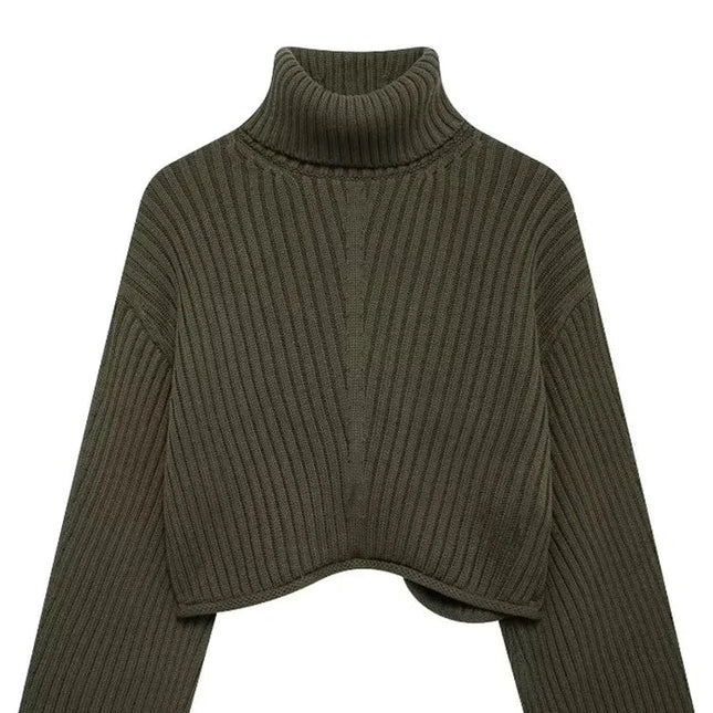 Casual Sweater Turtle Neck - VOLDRI