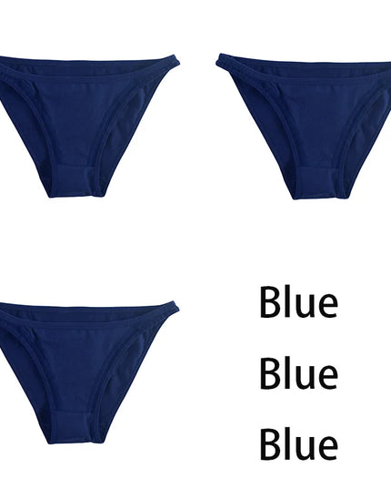 3Pcs/set  Mesh Underpants  Bikini  Underwear - VOLDRI