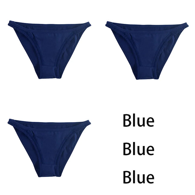 3Pcs/set  Mesh Underpants  Bikini  Underwear - VOLDRI