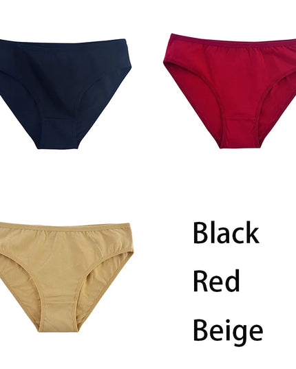 3PCS/Set  Classic Seamless Briefs Panties - VOLDRI